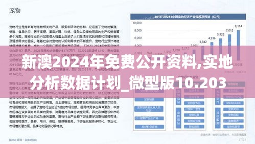 2024新澳免费资料内部玄机，深度解答解释落实_vi58.01.28