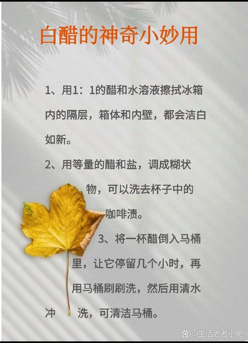 白醋生活小妙招，日常生活中的神奇应用视频